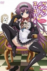 Tsun Tsun Maid Wa Ero Ero Desu Todos os Episodios Online